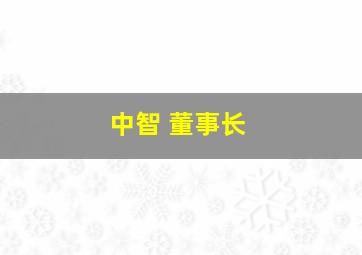 中智 董事长